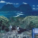 Lord Howe Island Group