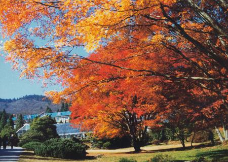 Lushan National Park
