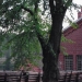 Verla Groundwood and Board Mill