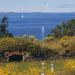 Fortress of Suomenlinna : Pipers park