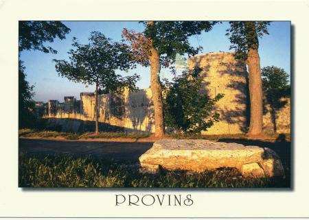 Provins, Town of Medieval Fairs