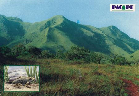 Mount Nimba Strict Nature Reserve
