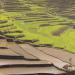 Cultural Landscape of Bali Province