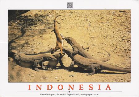 Komodo National Park