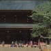 Shrines and Temples of Nikko