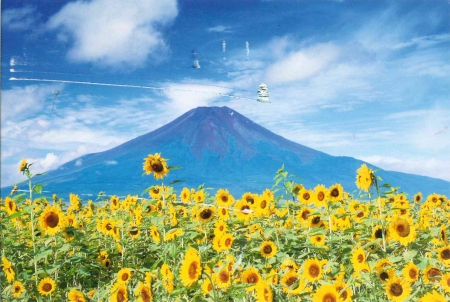 Fujisan