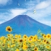 Fujisan