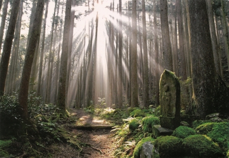 Sacred Sites and Pilgrimage Routes in the Kii Moun