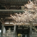 Kinpusen-ji Temple at Mount Yoshino
