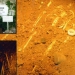 Archaeological Heritage of the Lenggong Valley