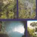 Gunung Mulu National Park