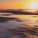 Wadden Sea