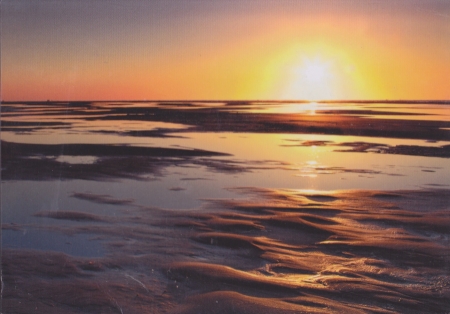 Wadden Sea