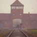 Auschwitz Birkenau
