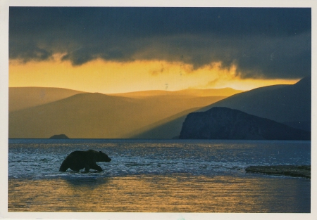 Volcanoes of Kamchatka