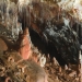 Caves of Aggtelek Karst and Slovak Karst