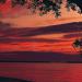Everglades National Park